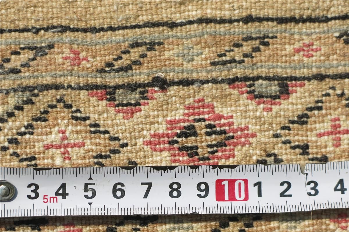Oriental rug Jaldar Exclusive