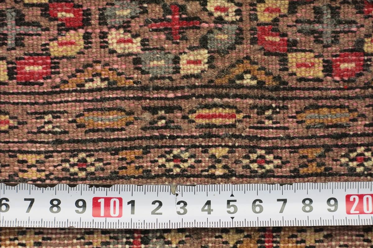Oriental rug Bukhara Royal