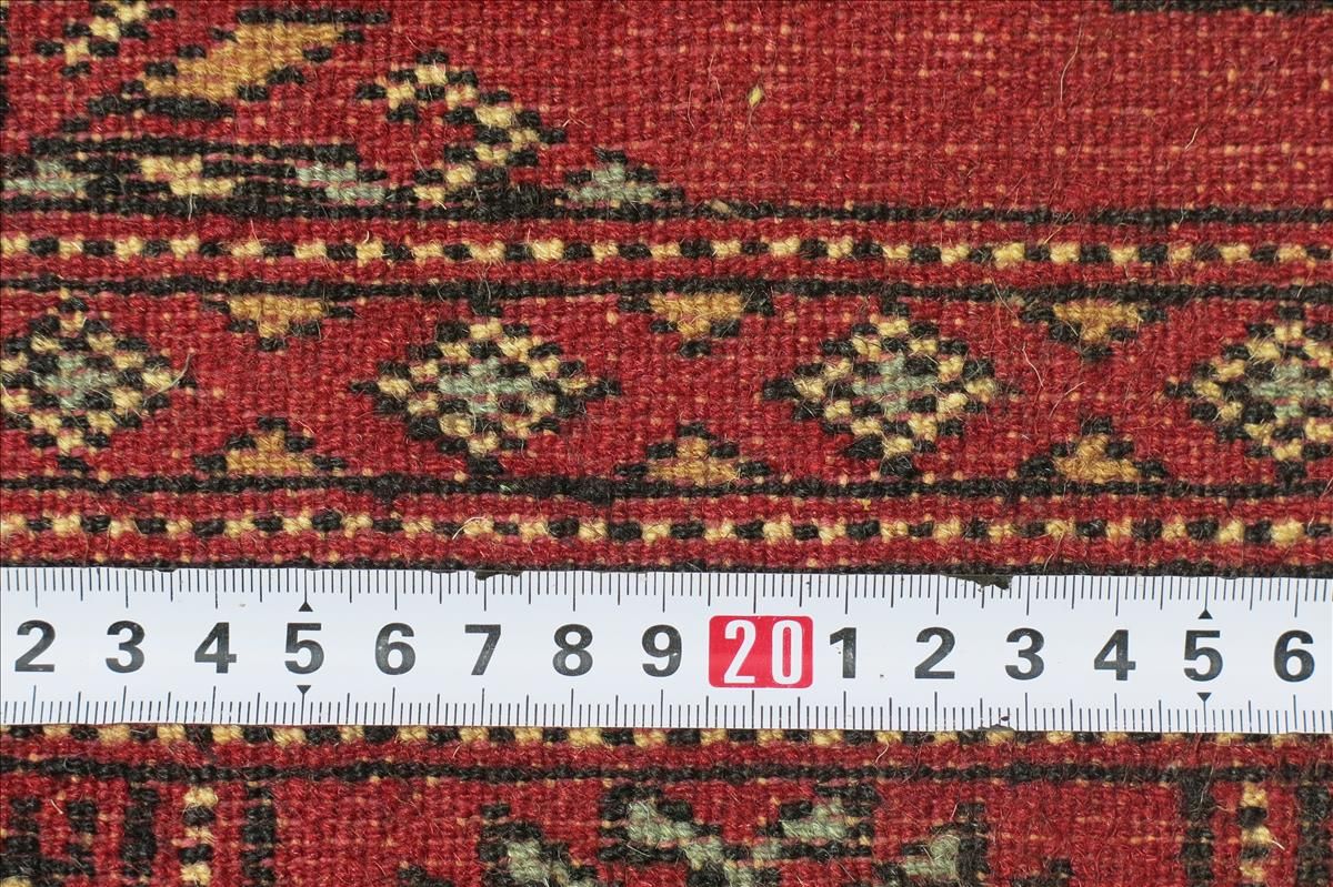 Oriental rug Bukhara Exclusive
