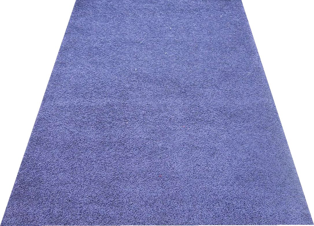 Rug Shaggy Super