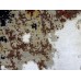 Moderner Teppich Ikat Premium