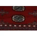 Bukhara Exclusive