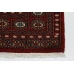 Bukhara Exclusive