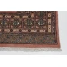 Bukhara Exclusive