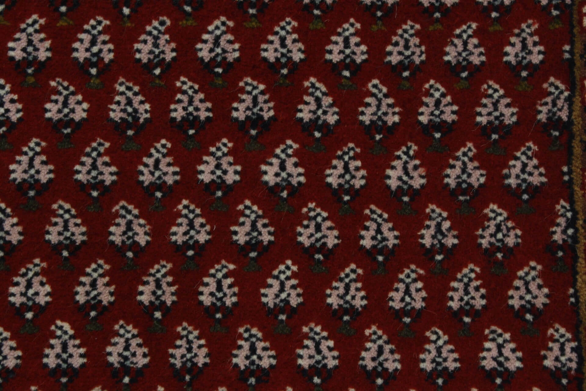 Mir