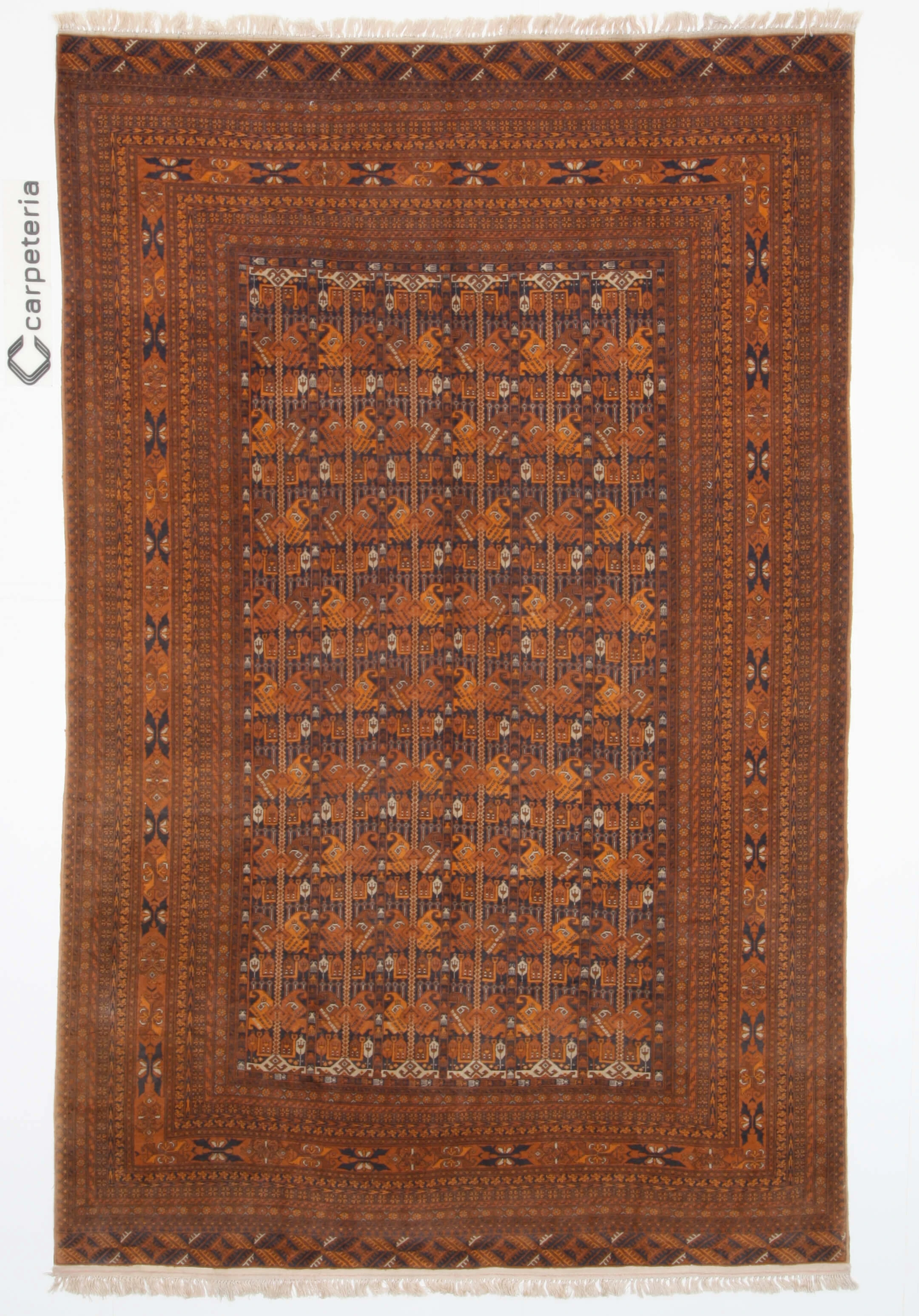 Turkmen Exclusive