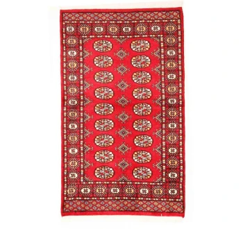 Oriental rug Bukhara Exclusive