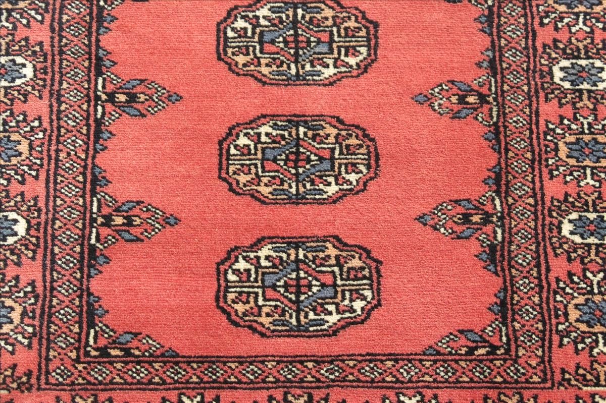 Oriental rug Bukhara Exclusive