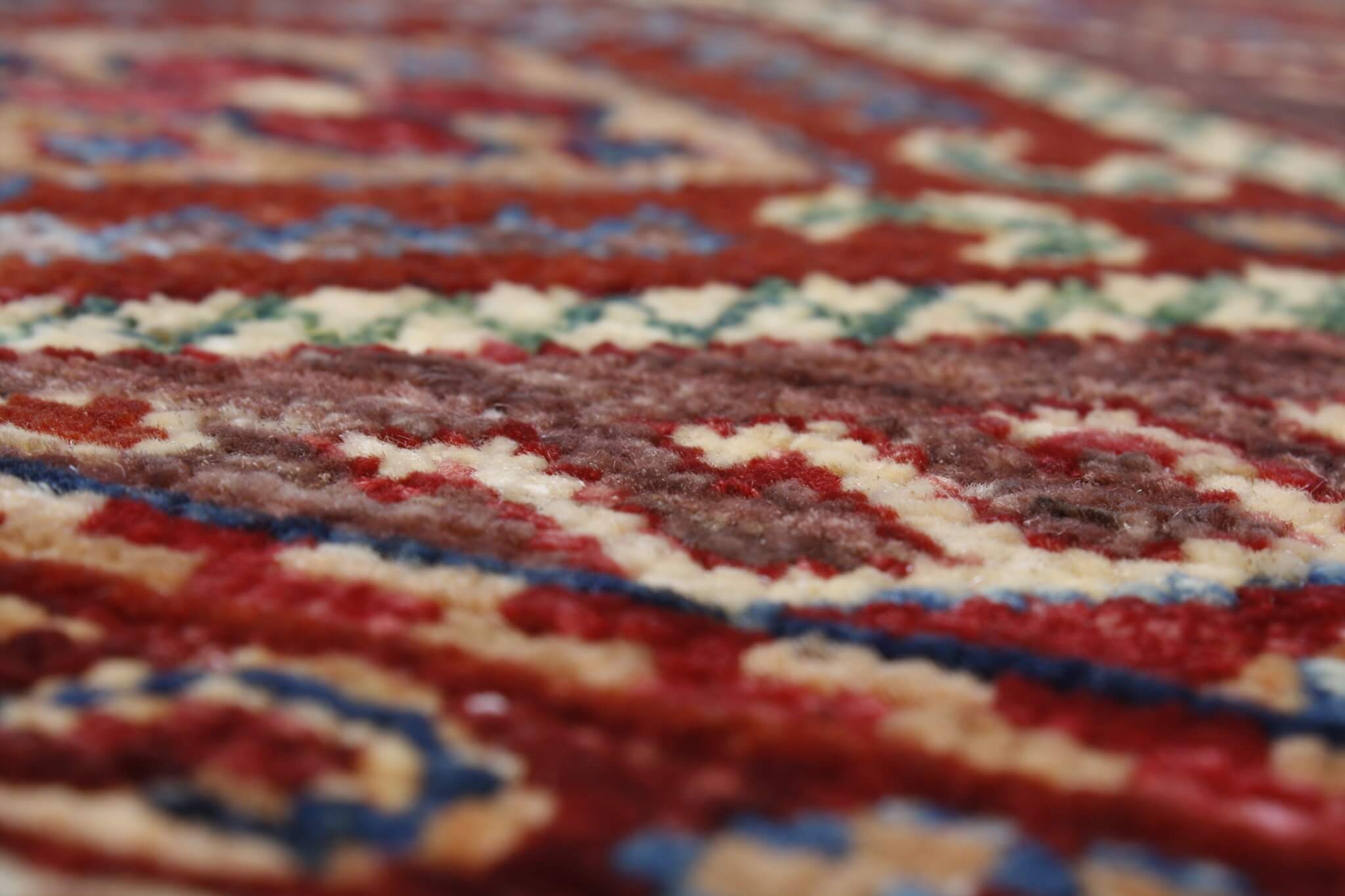 Oriental rug Ariana Exclusive