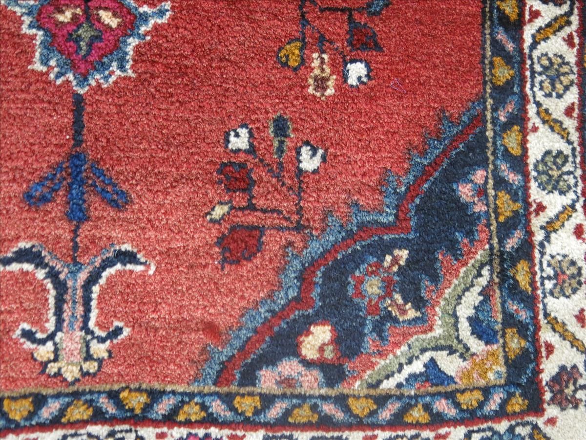 Oriental rug Darjazin Super