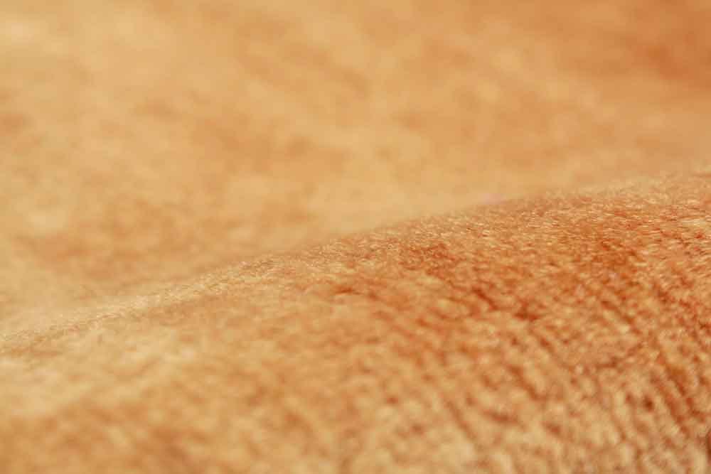 Oriental rug Buchara