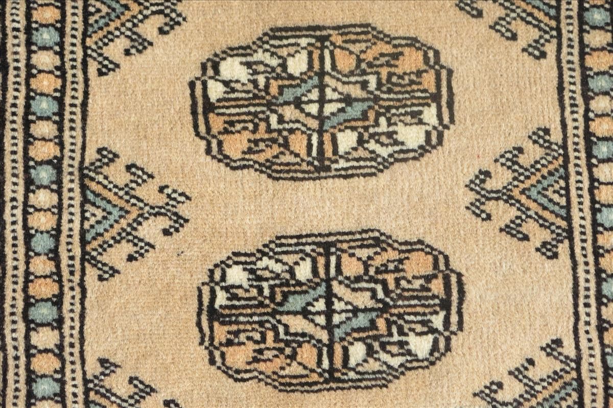 Orientteppich Bukhara Exklusiv