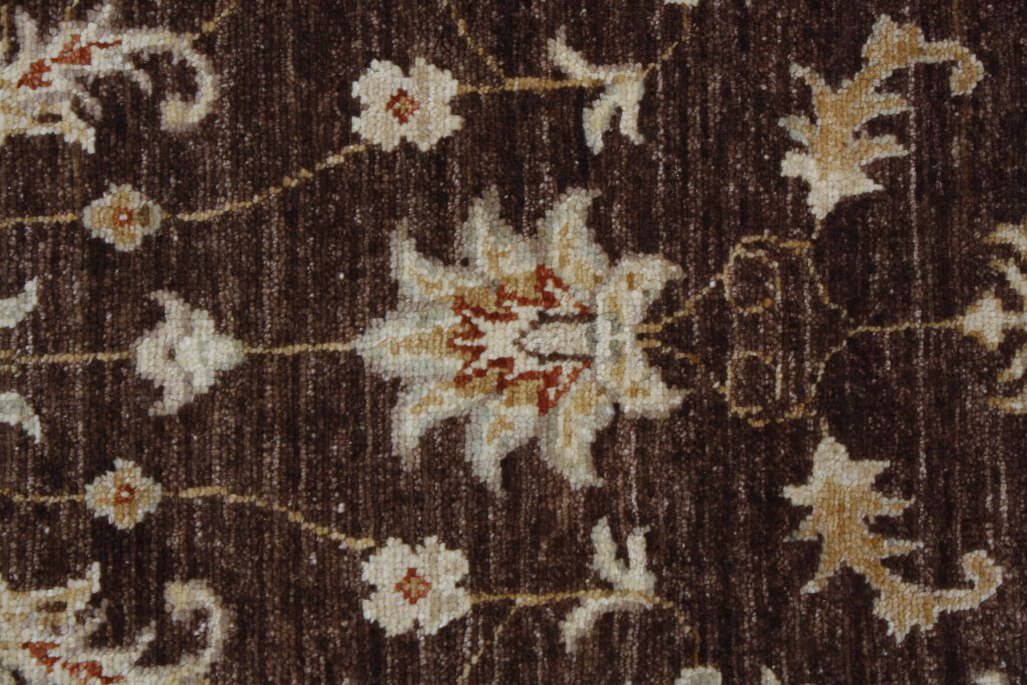 Oriental rug Ziegler Exclusive