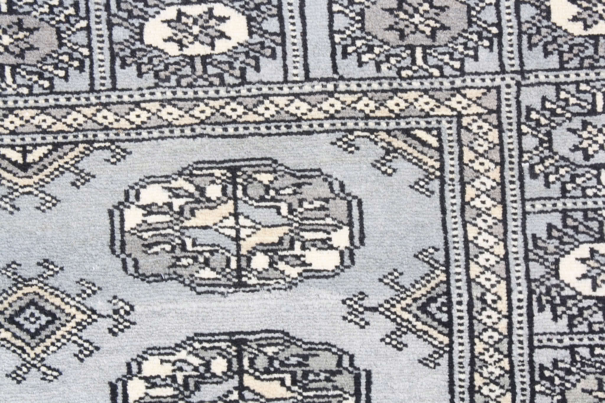 Oriental rug Bukhara Premium
