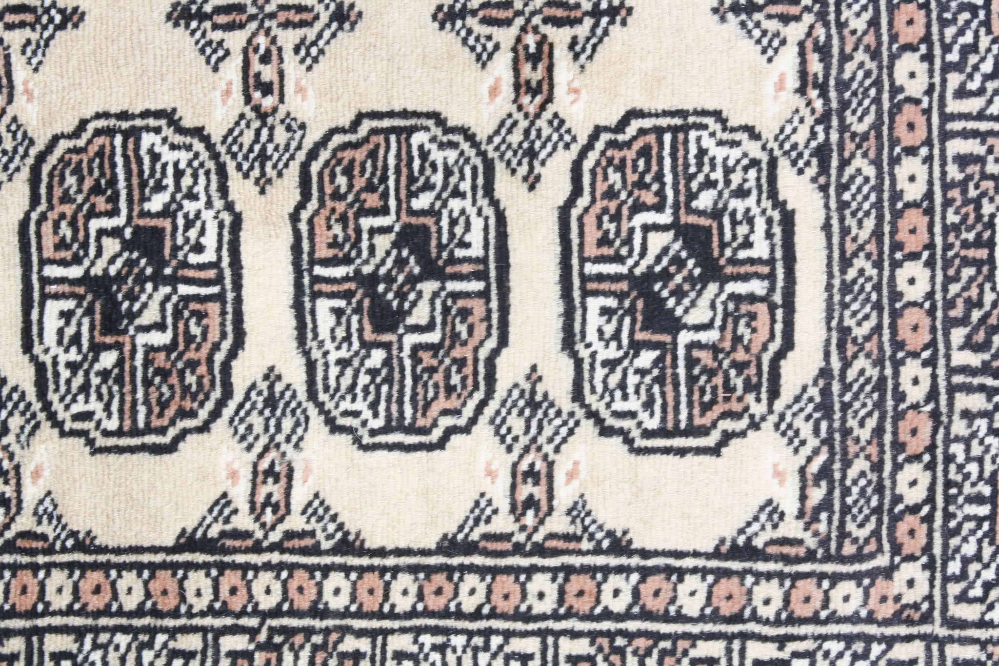 Oriental rug Bukhara Premium