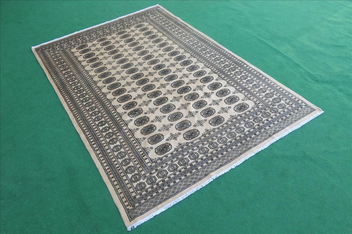 Oriental rug Bukhara Exclusive