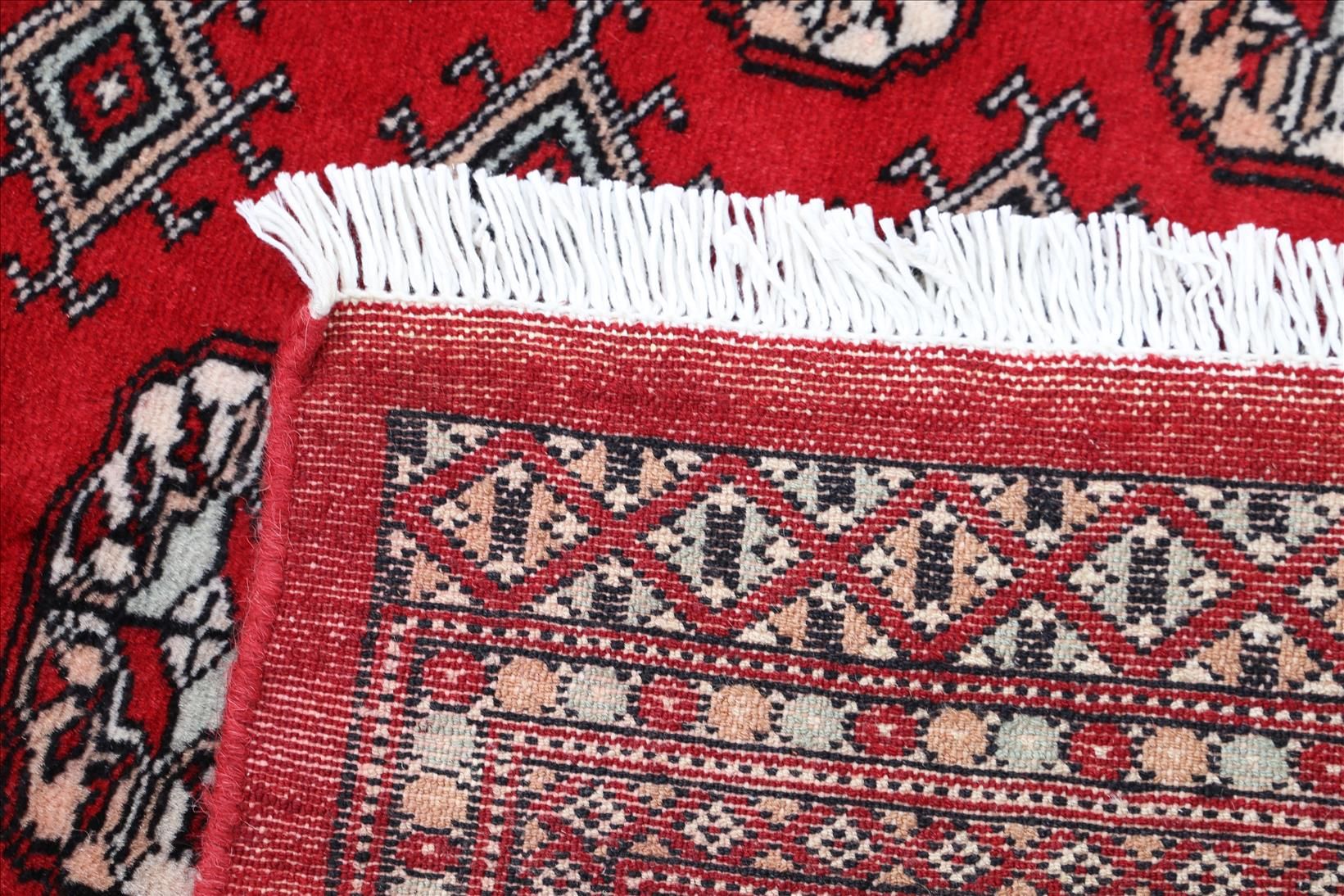 Oriental rug Bukhara Exclusive