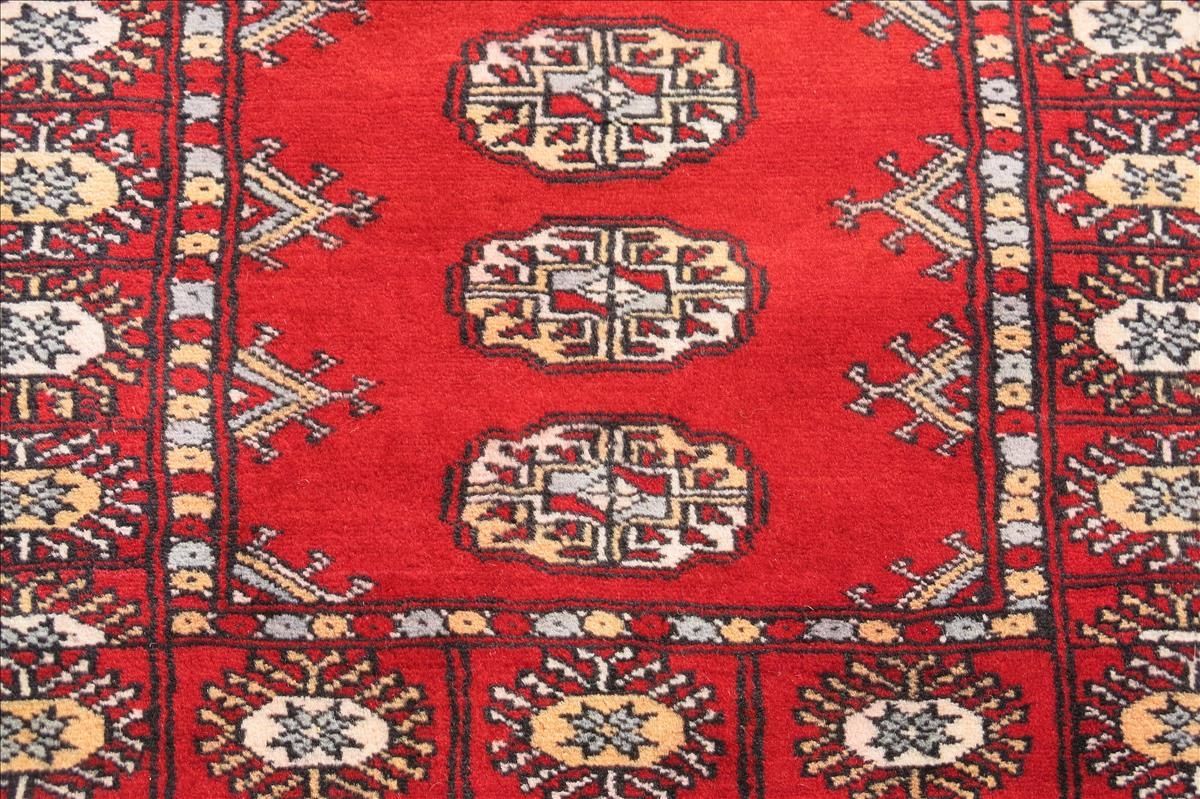 Orientteppich Bukhara Exklusiv