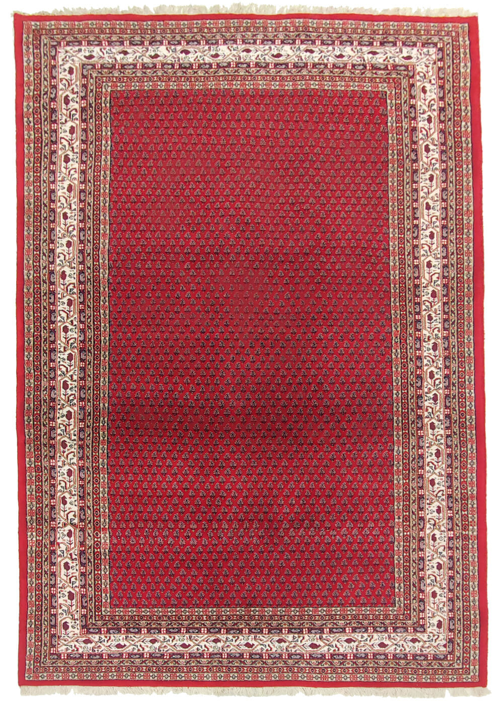 Oriental rug Mir Exclusive