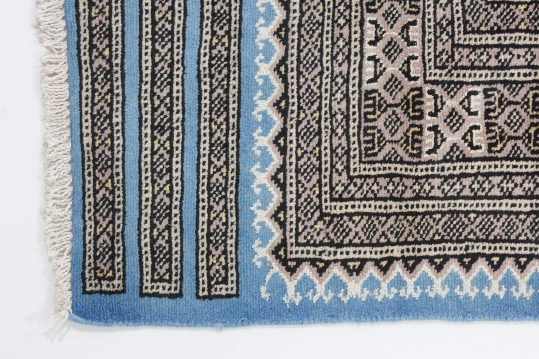 Oriental rug Jaldar Exclusive