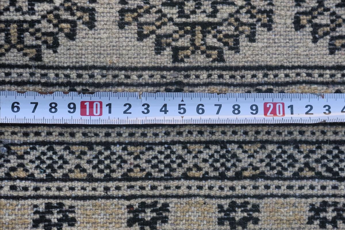 Oriental rug Bukhara Exclusive