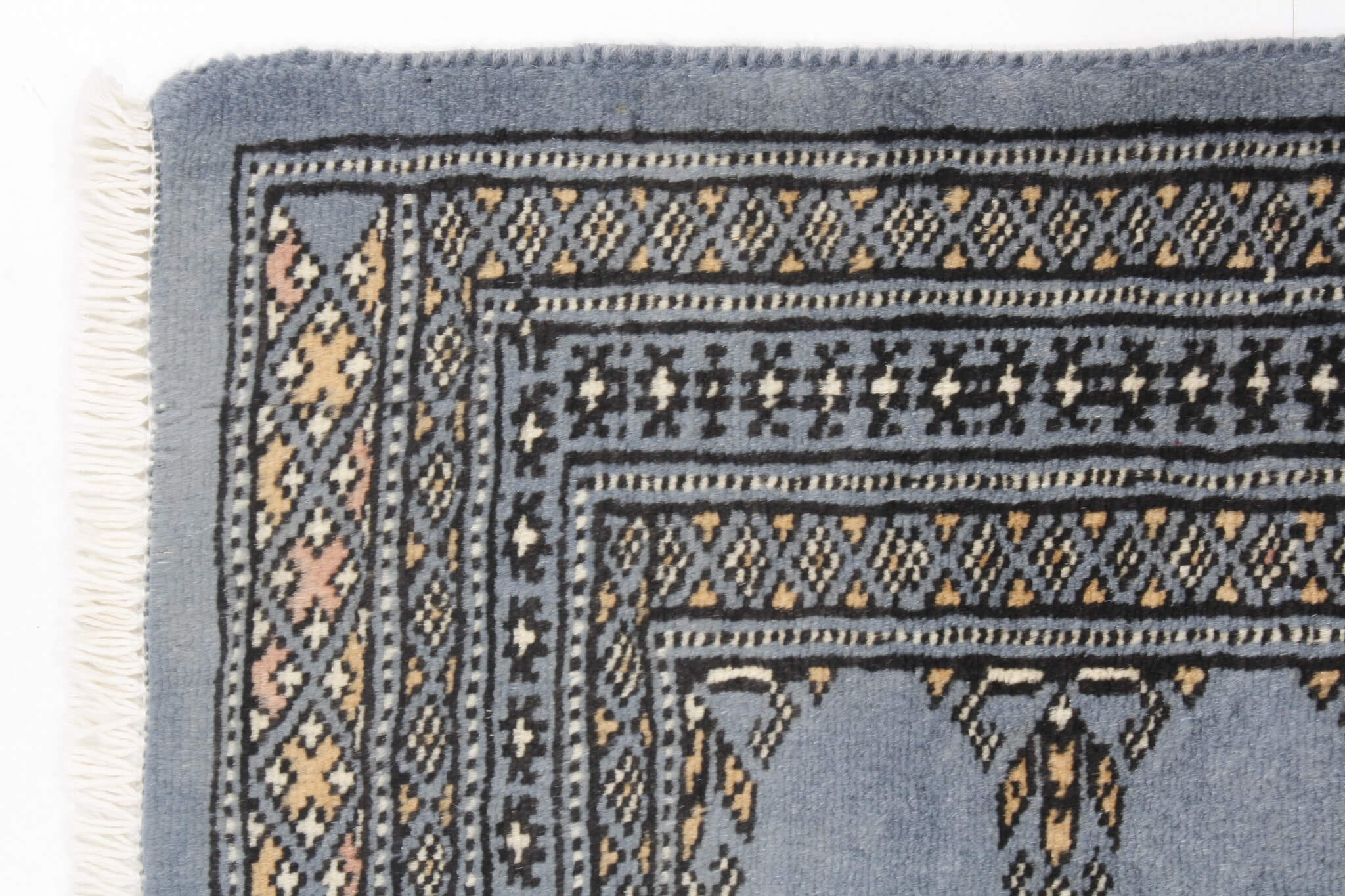 Oriental rug Bukhara Exclusive