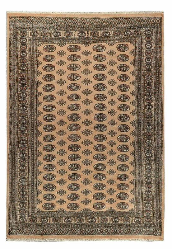 Oriental rug Bukhara Exclusive