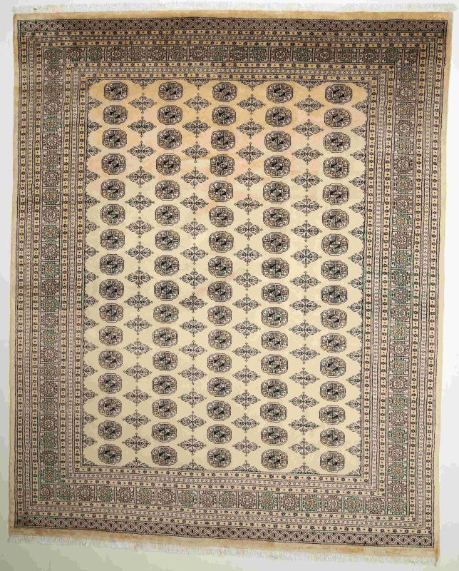 Oriental rug Bukhara Exclusive