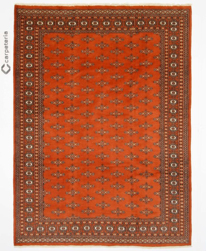 Oriental rug Bukhara Exclusive