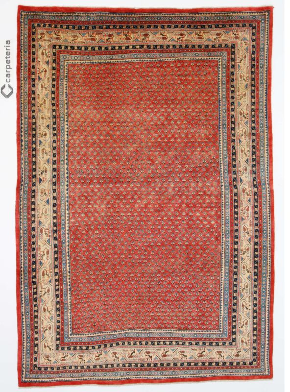 Persian rug Sarough Mir