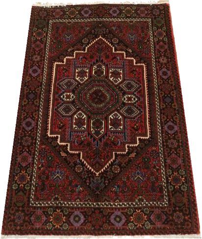 Oriental rug Goltogh Exclusive
