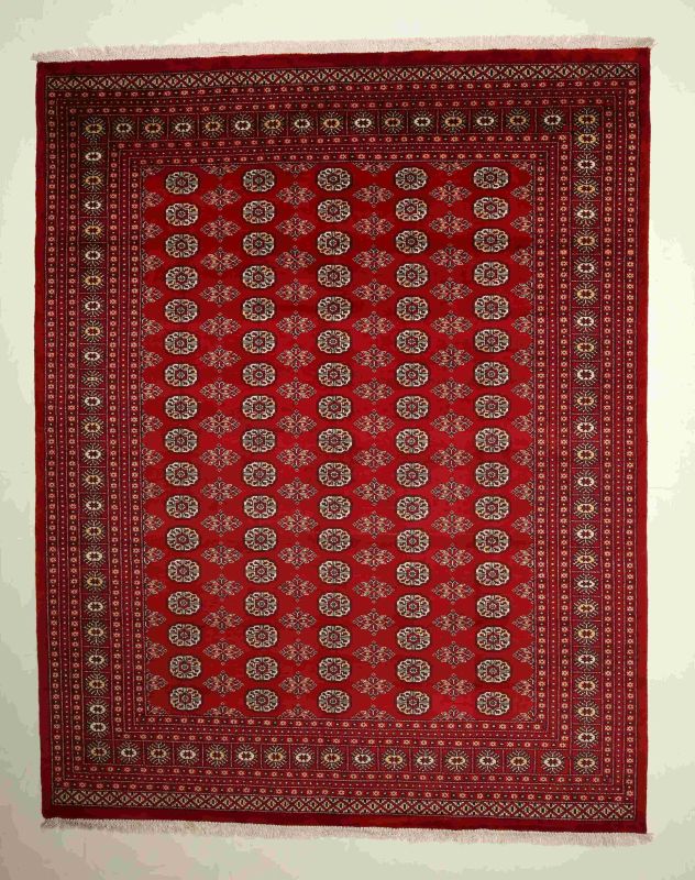 Oriental rug Bukhara Exclusive