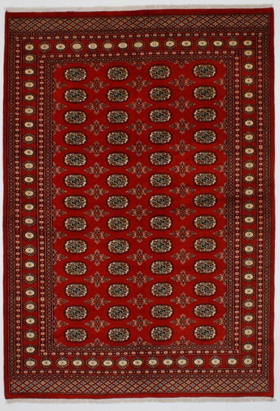 Oriental rug Bukhara Exclusive