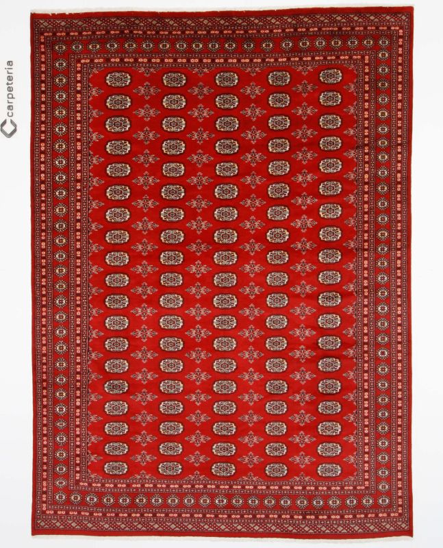 Oriental rug Bukhara Exclusive